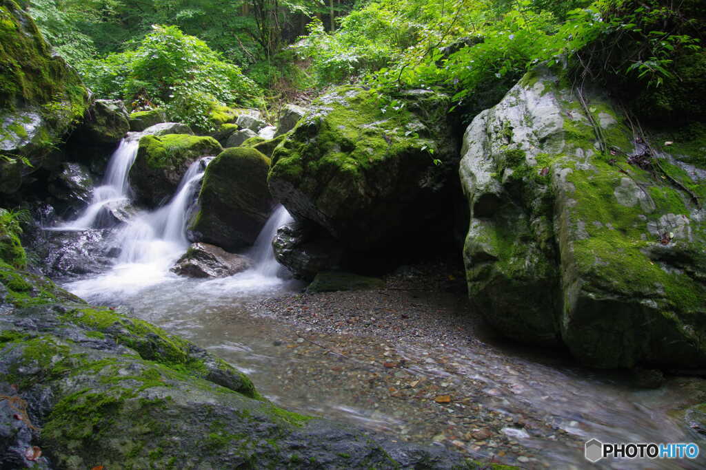 渓流散歩