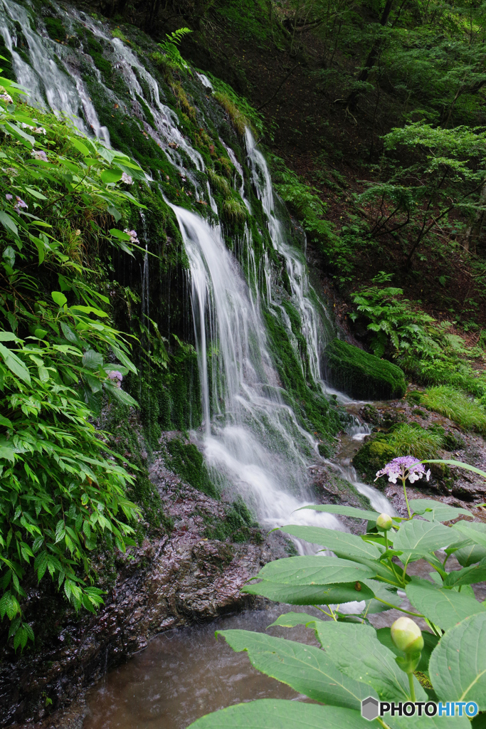 白水の滝