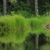 静寂