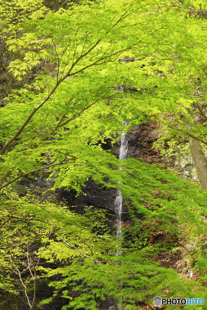 不動の滝