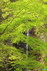 不動の滝