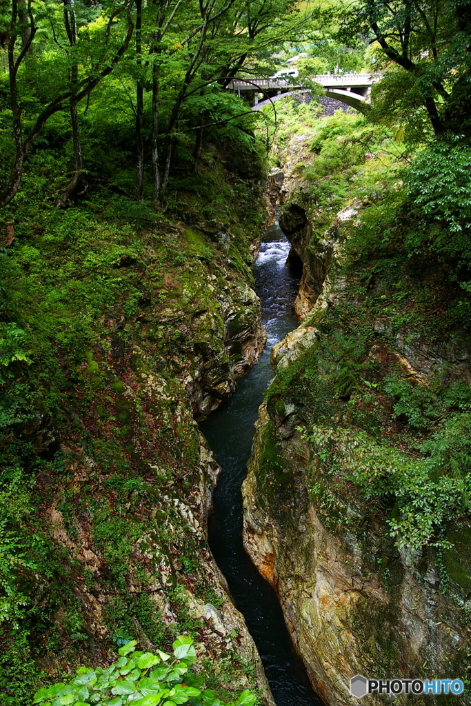 蝉の渓谷