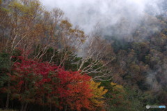 霧まく秋