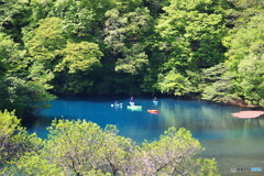新緑とブルー