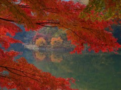 すき間から