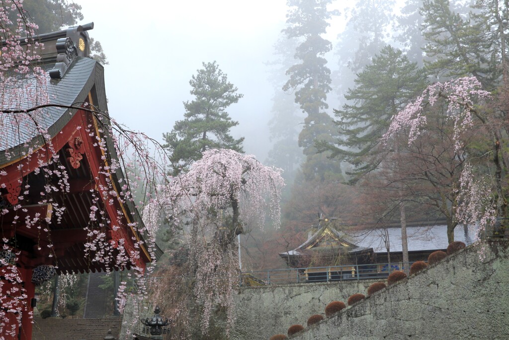 妙義神社２