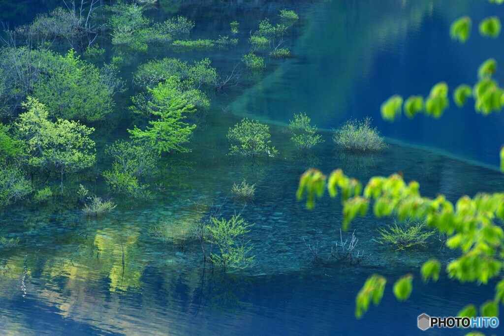 ブルーI
