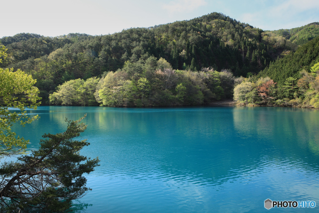 新緑の湖