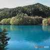 新緑の湖