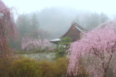 霧雨の妙義神社