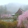 霧雨の妙義神社