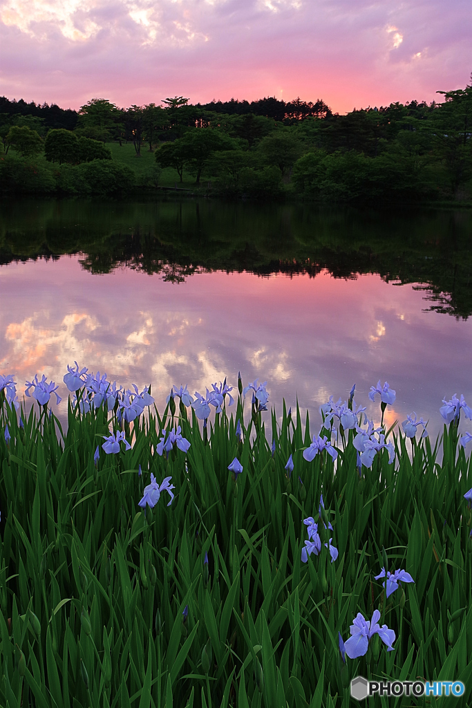 夕暮れ