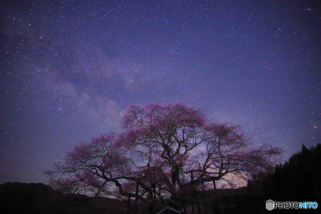 桜と銀河
