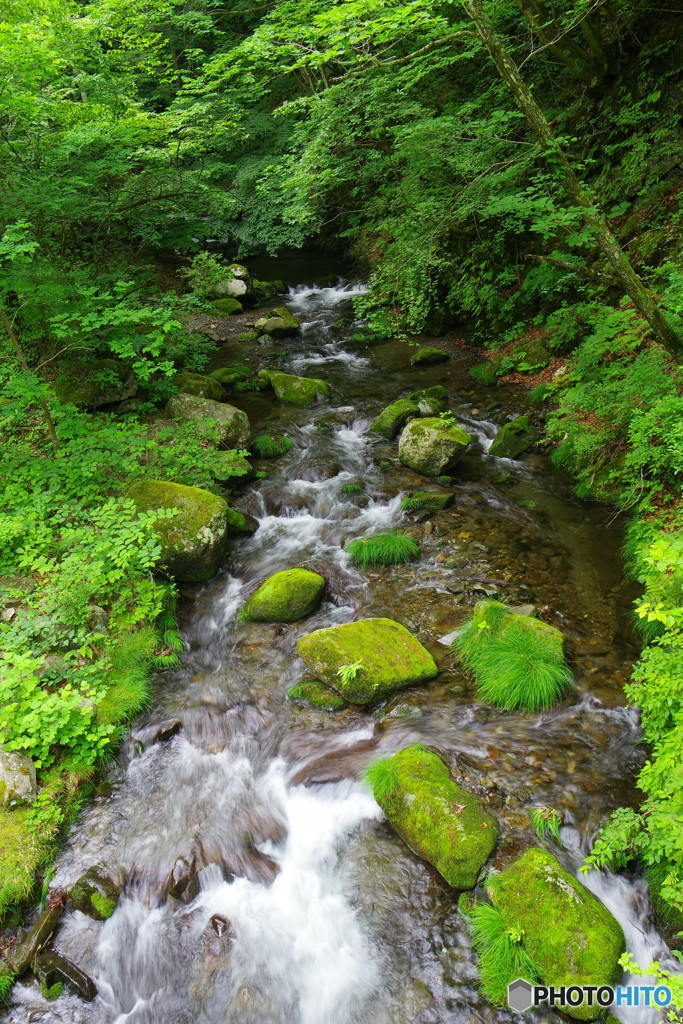 渓流散歩４