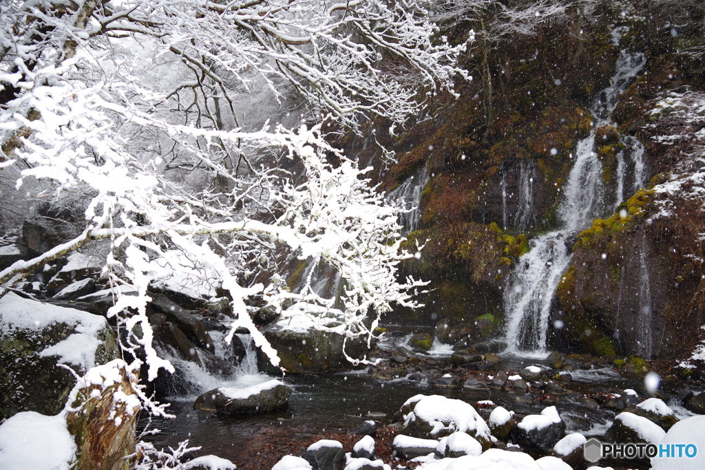 雪景色２