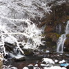 雪景色２