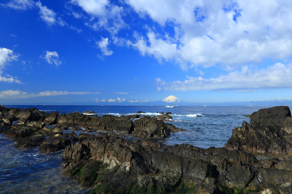 荒崎海岸から望む富士②