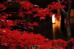 灯り
