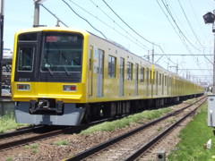 ６１５７編成　黄色い６０００系電車