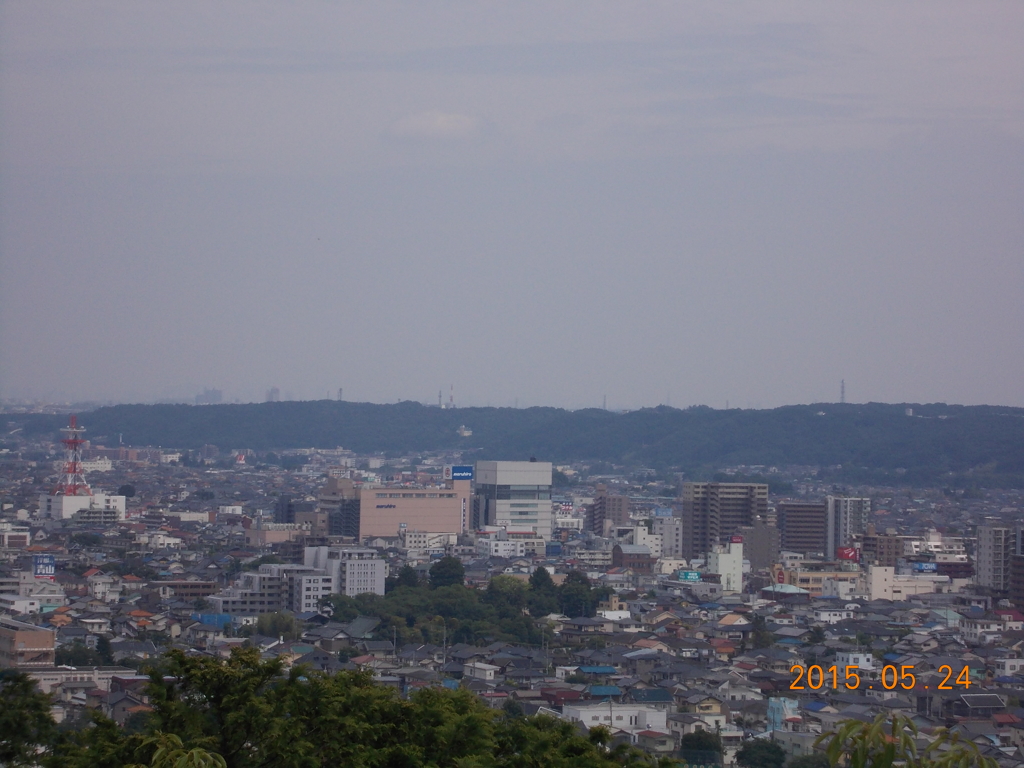 天覧山からの眺め