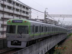 DSCN5567