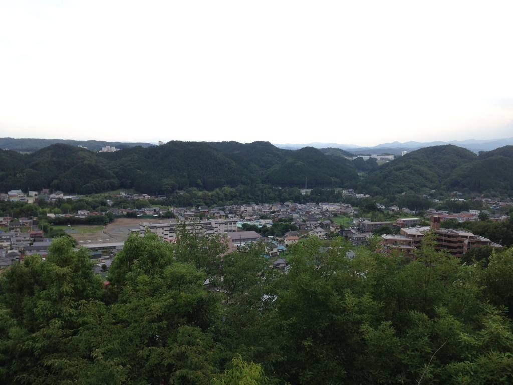 天覧山からの眺め