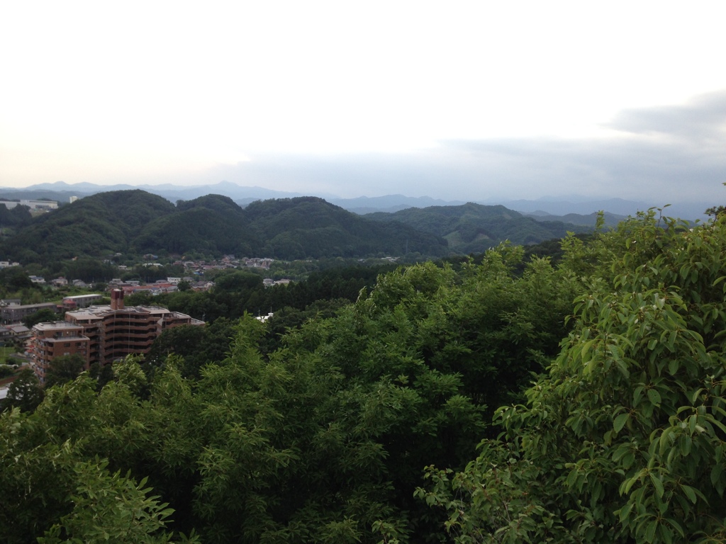 天覧山からの眺め