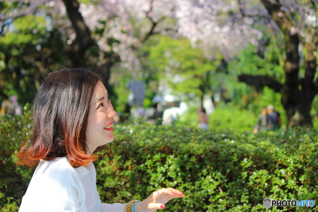 花びらを掴みたい