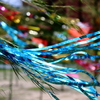 BLUE WIND