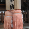 木クラゲ
