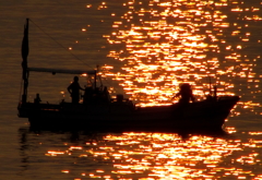 黄金の海