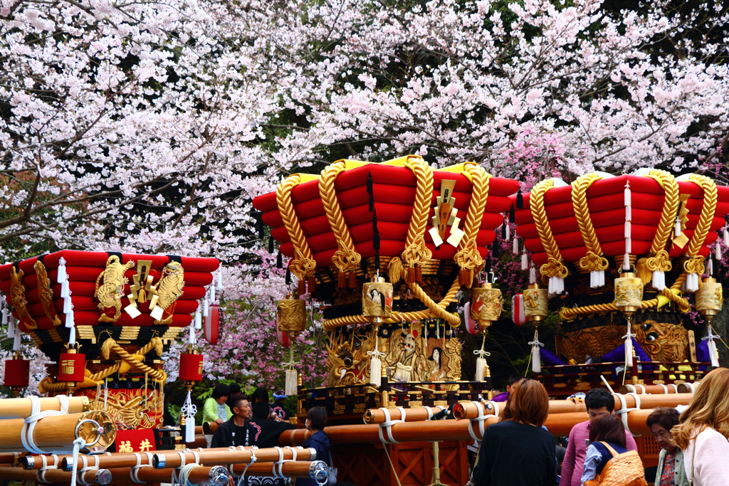 祭りだ！祭りだ！