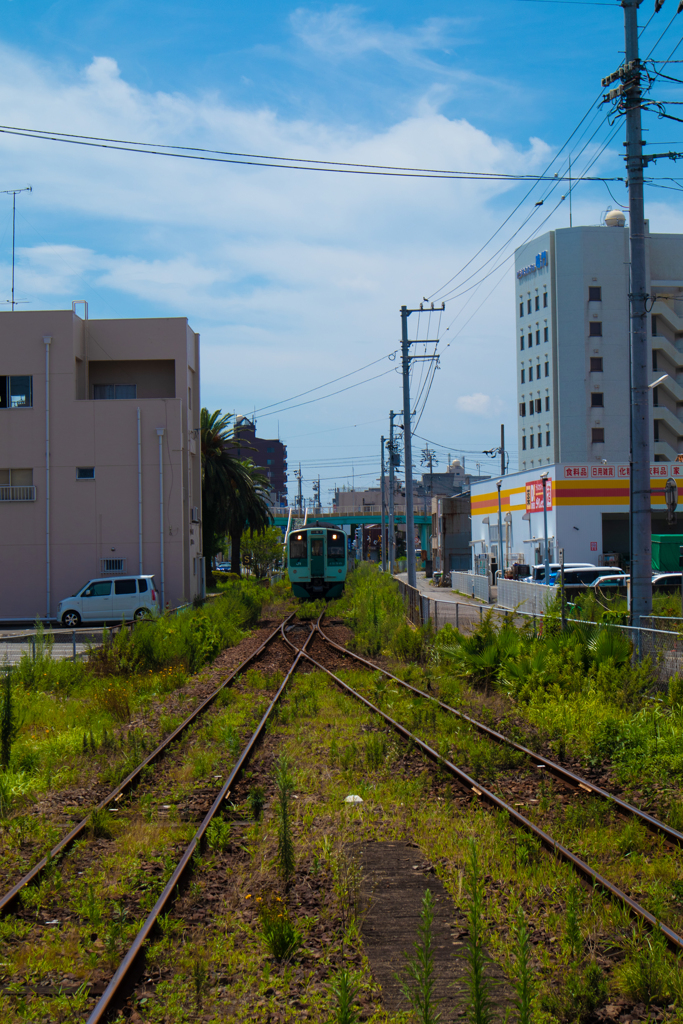 草ボウボウのローカル線路