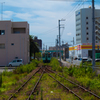 草ボウボウのローカル線路