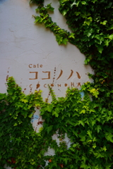 Cafeココノハ