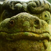 眼力