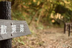 散歩