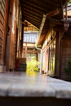 鈴虫寺にて