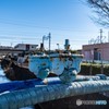 DSC00164-1