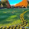IMG_1115-1