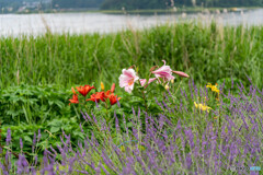 DSC00535-1