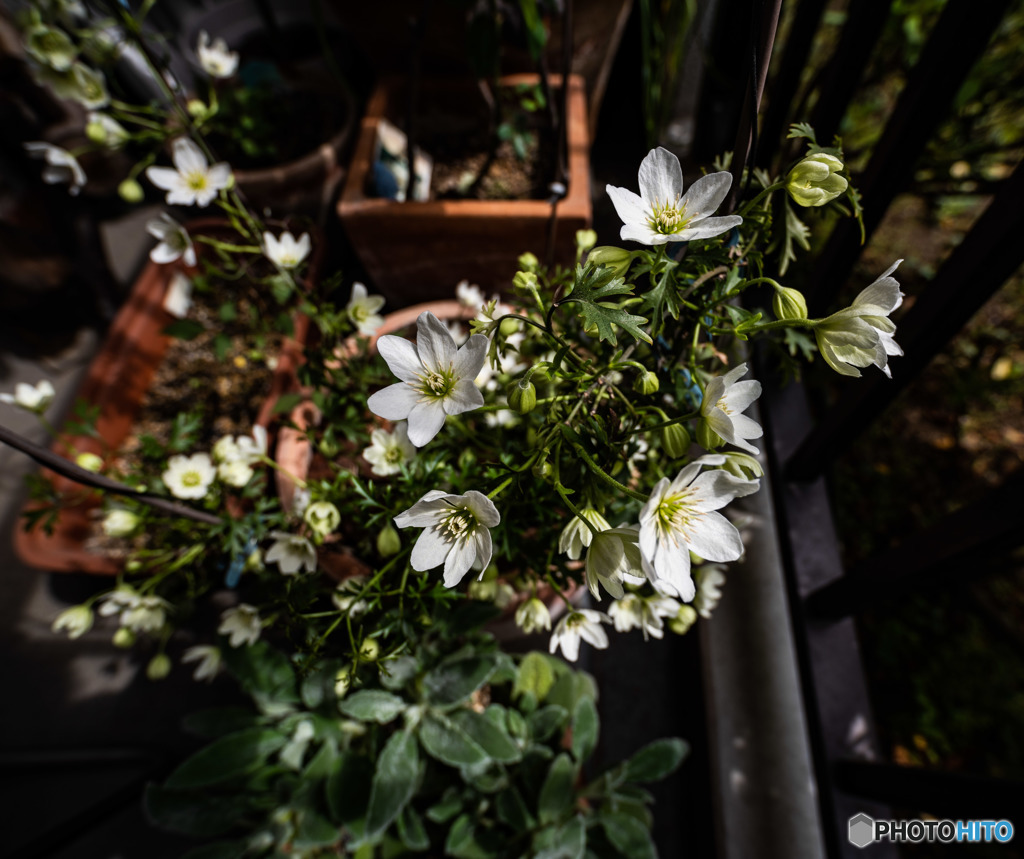 DSC_3068-2