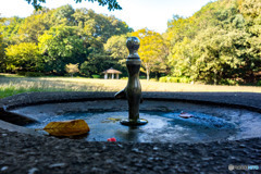 DSC00021-2