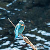 DSC_5264-1
