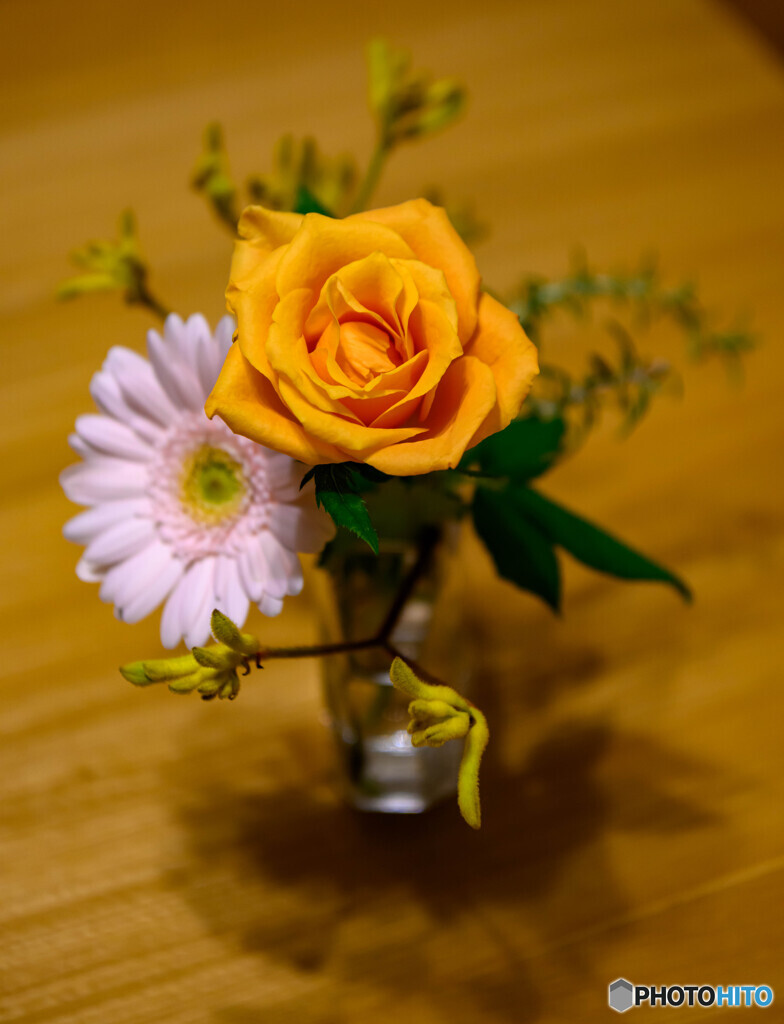 DSC_0411-1