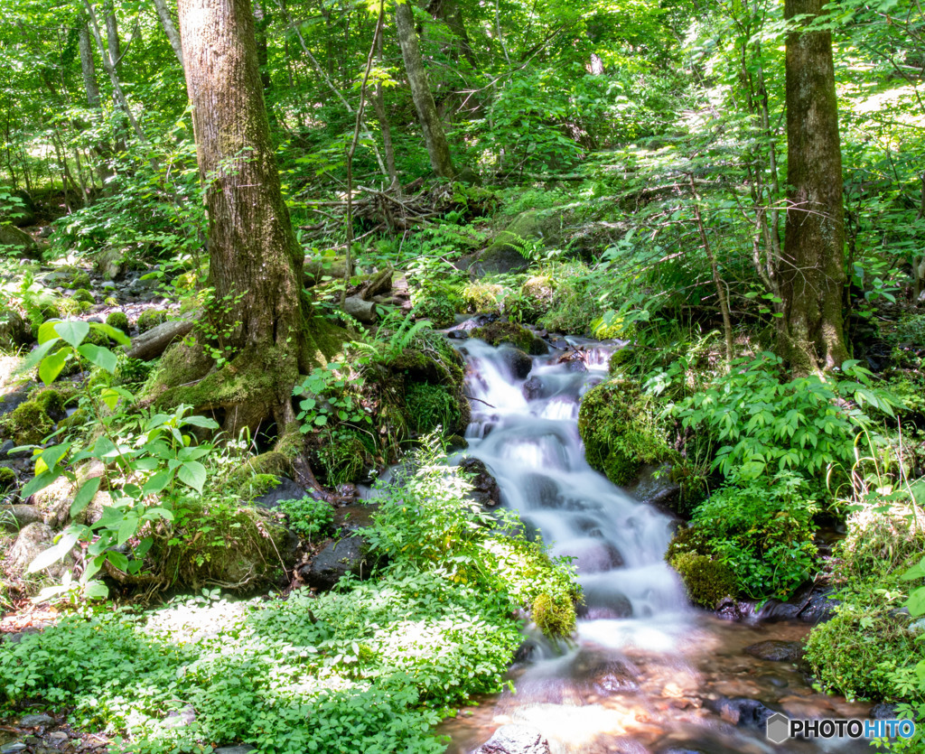 DSC_1878-1