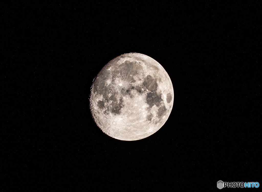DSC_4526-1