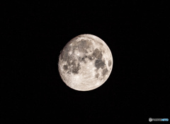 DSC_4526-1