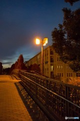 DSC00336-2