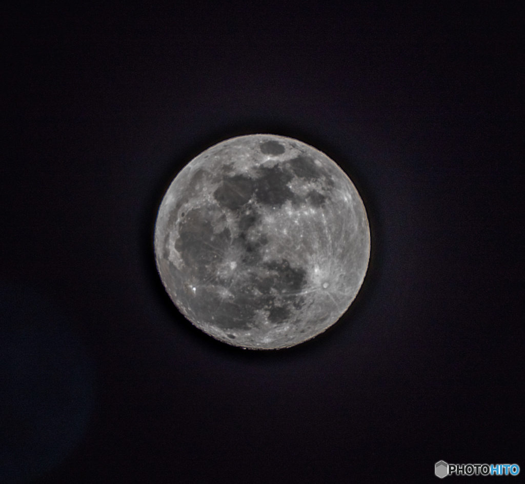 DSC_4470-1